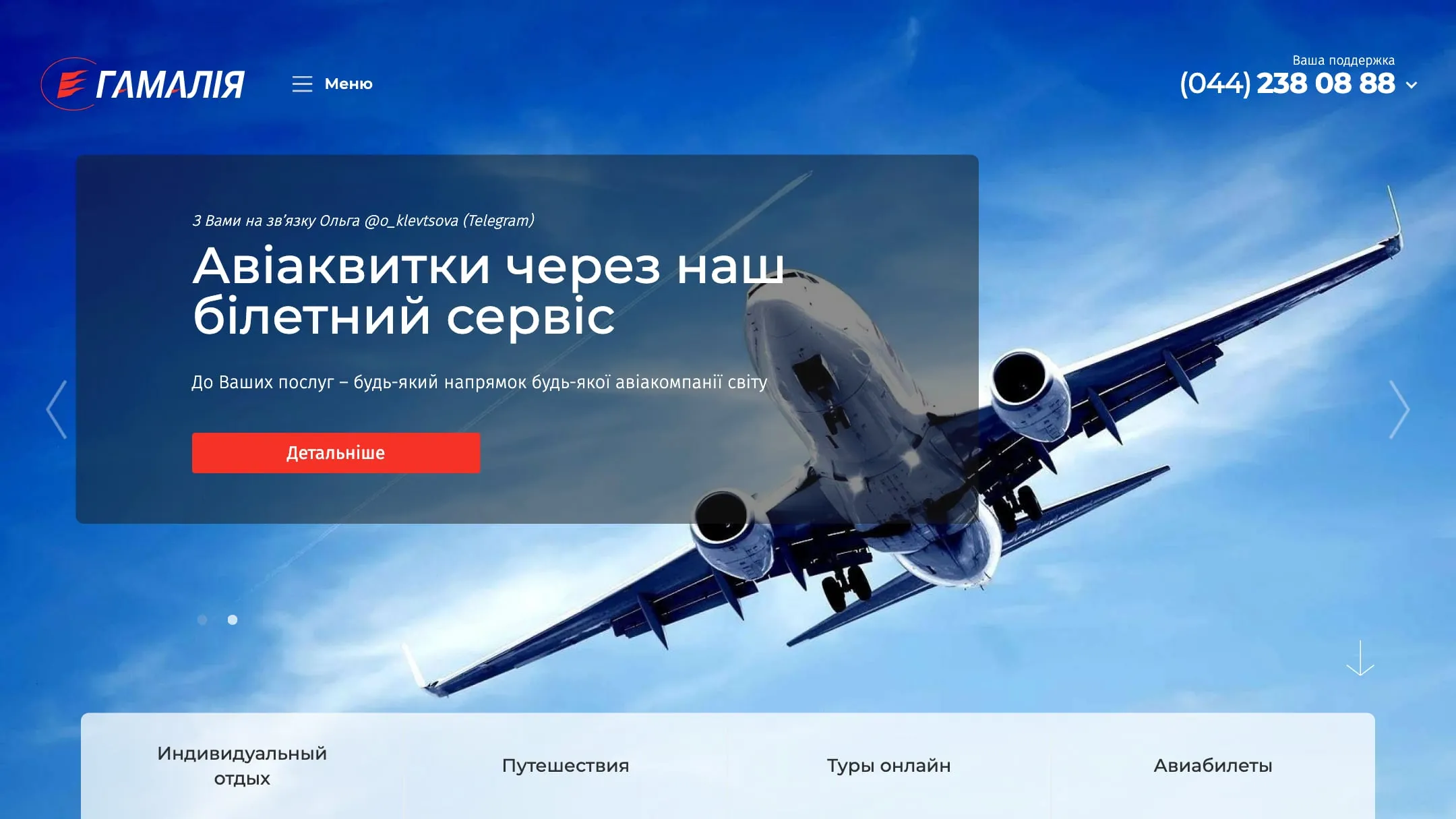 Hamalia website home page with an airliner in a blue sky and the air ticket service banner
