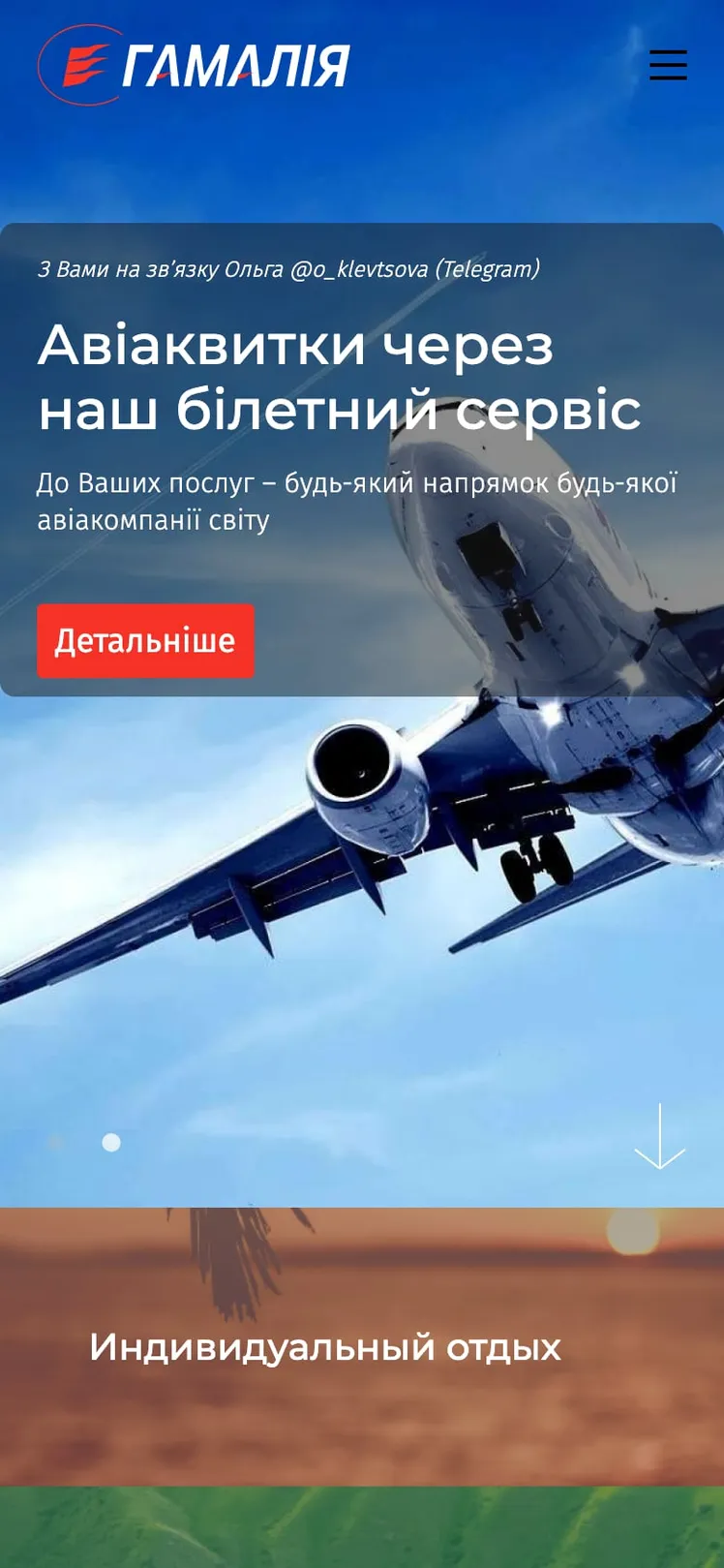 Hamalia home page on a phone with the air ticket service banner