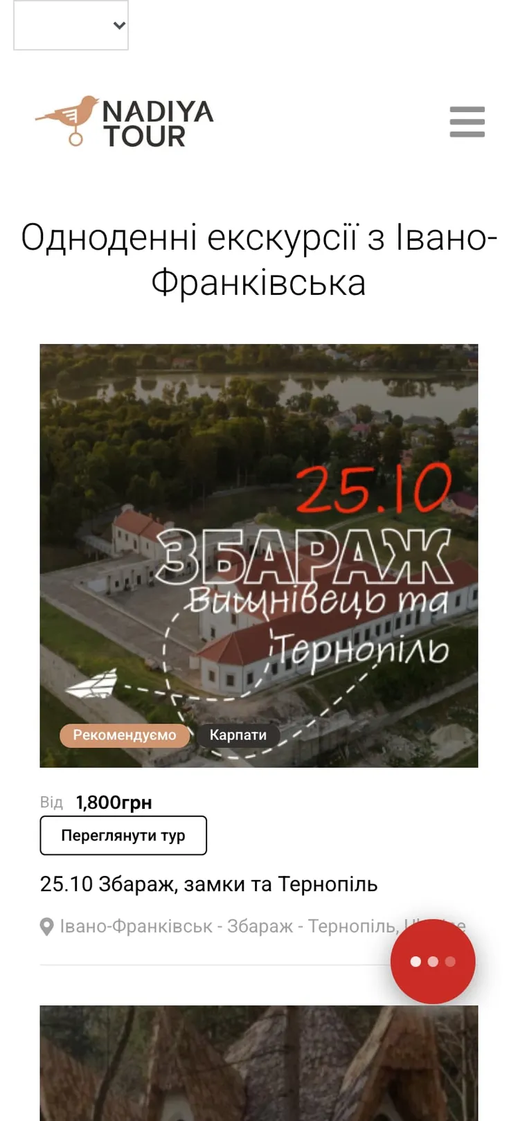 Nadiya Tour home page on a phone with a one day excursion card